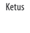 Ketus